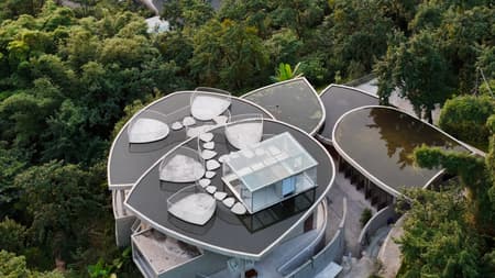 Buzzy Sunny· Feixue Pavilion